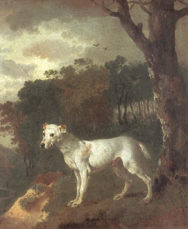 Thomas Gainsborough Bumper,a Bull Terrier